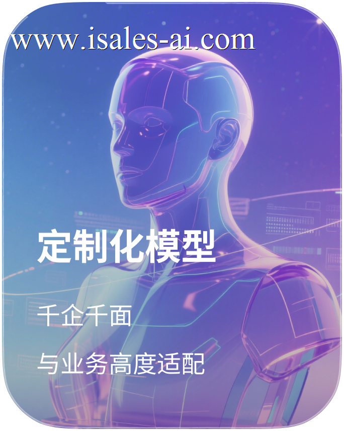 定制化模型
